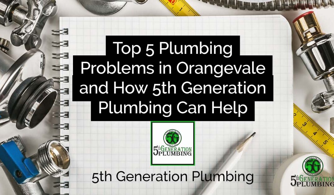 Top 5 Plumbing Problems in Orangevale